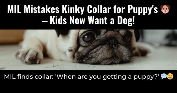 Diply | Diply