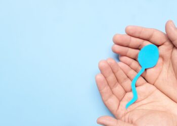 Shutterstock | 247570758