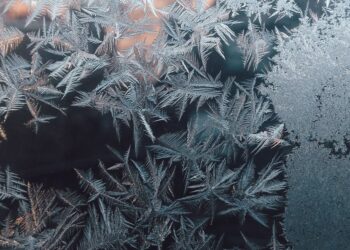 Unsplash | Kelly Sikkema