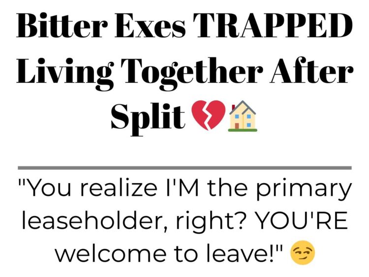 Diply | Diply
