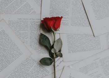 Unsplash | Annie Spratt