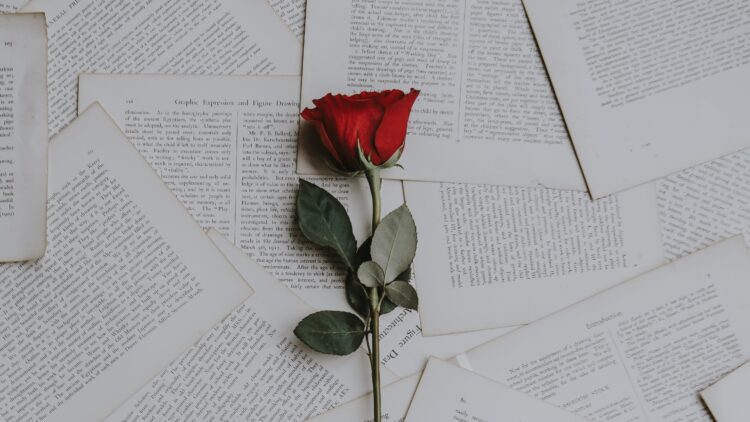 Unsplash | Annie Spratt