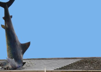 The Shark House | Magnus Hanson-Heine