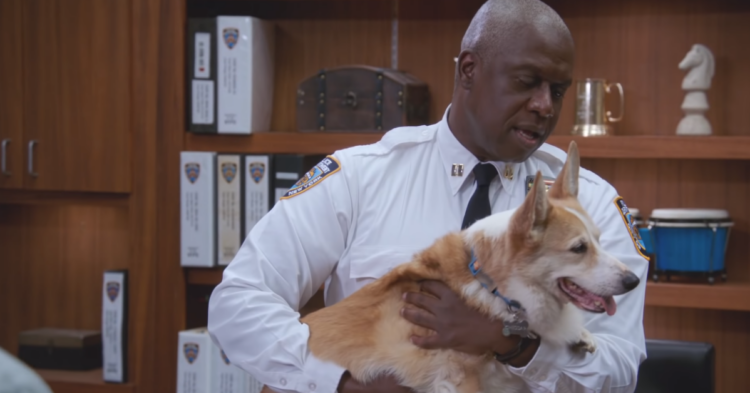 YouTube | Brooklyn Nine-Nine