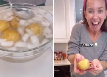 TikTok | @athomewithshannon
