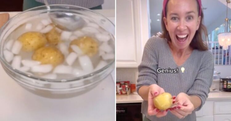 TikTok | @athomewithshannon