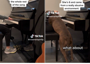 TikTok | @rosemariephilip