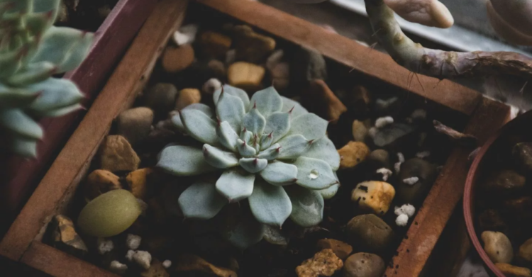 Unsplash