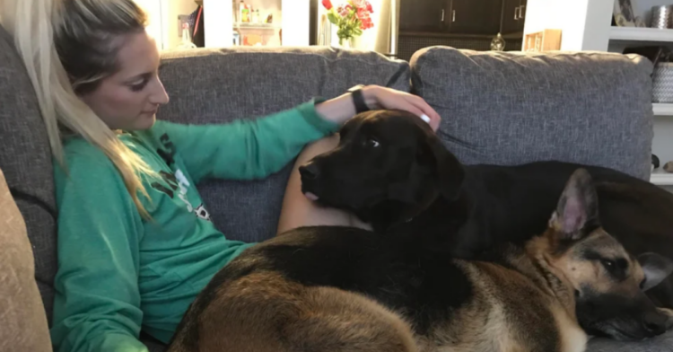 Reddit | --lex