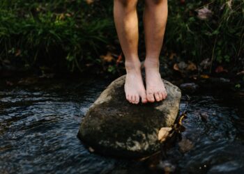 Unsplash | Jordan Whitt