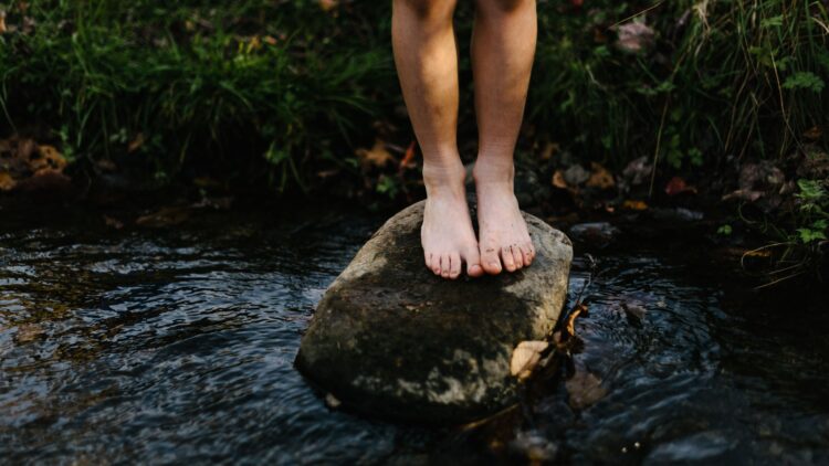 Unsplash | Jordan Whitt