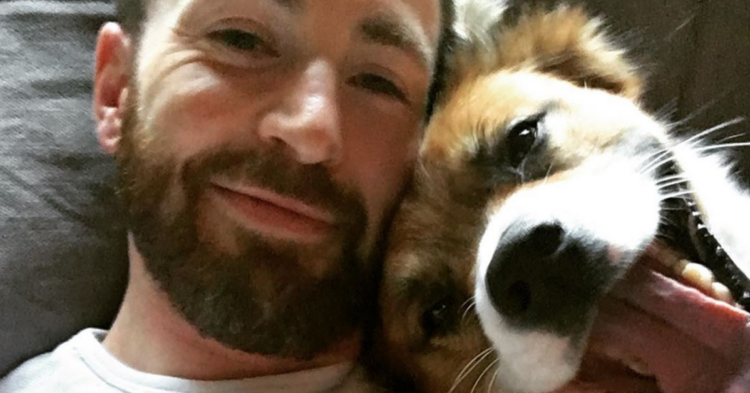 Instagram | @chrisevans