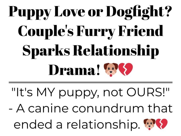 Diply | Diply
