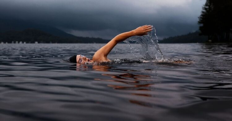 Unsplash | Todd Quackenbush