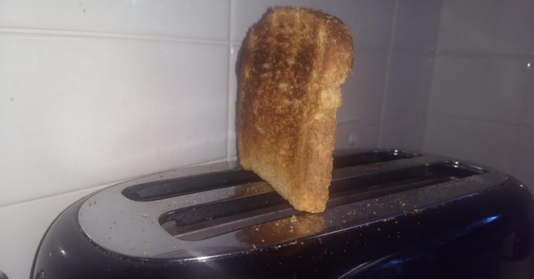 Reddit | fuzzypumperino