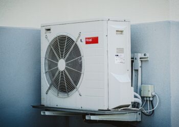 Unsplash | Carlos Lindner