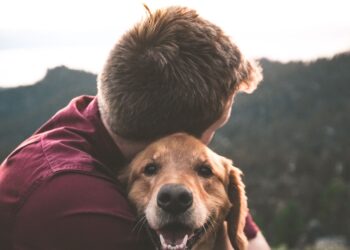Unsplash | Eric Ward