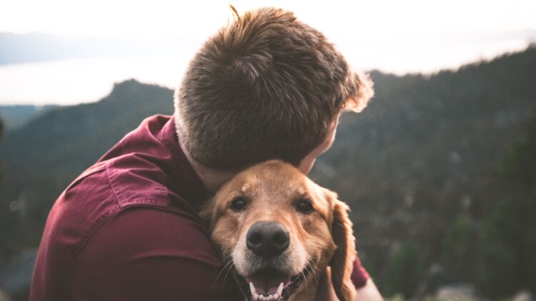 Unsplash | Eric Ward