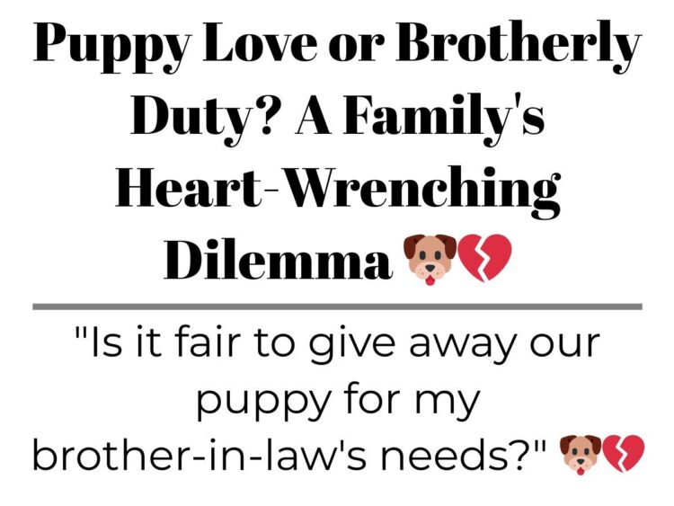 Diply | Diply
