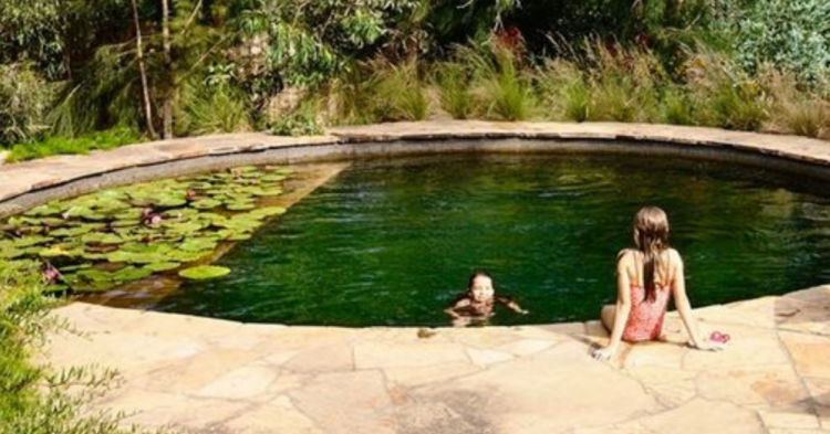 Instagram | @biotop_natural_pools