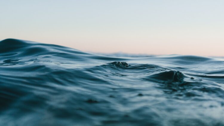 Unsplash | Matt Hardy