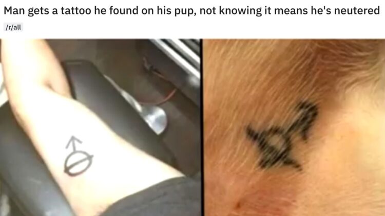 reddit | r/wellthatsucks