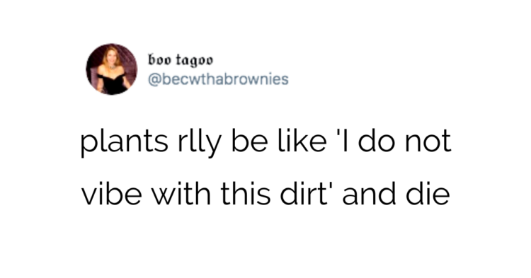 Twitter | @becwthabrownies