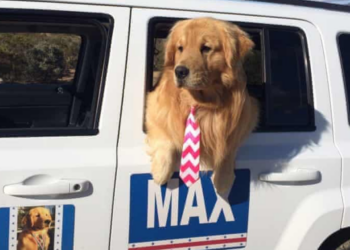 Instagram | @mayormax1
