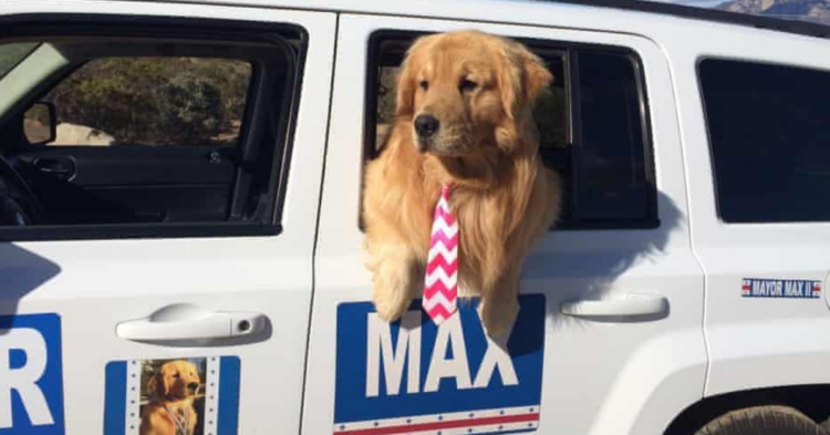 Instagram | @mayormax1