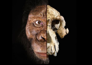 Cleveland Museum of Natural History