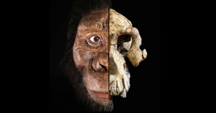 Cleveland Museum of Natural History