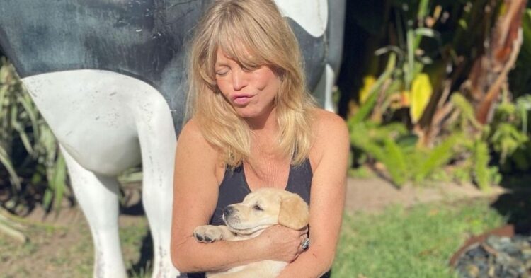 Instagram | @goldiehawn