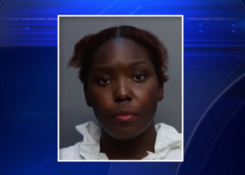 other | WSVN 7 News