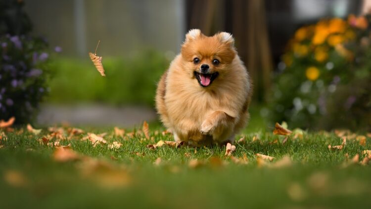 Shutterstock | 781615