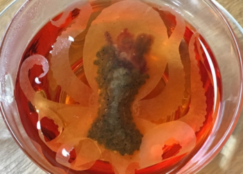 Ocean-Teabag