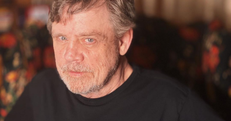 Instagram | @hamillhimself