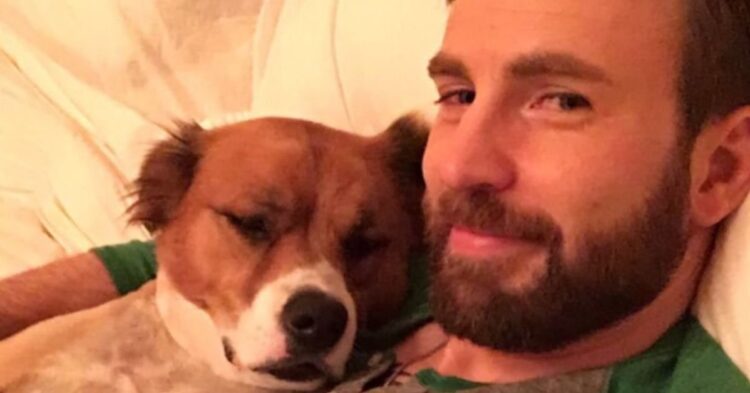 Twitter | @ChrisEvans