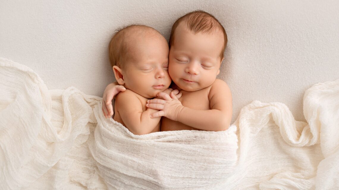 Shutterstock | 294397713