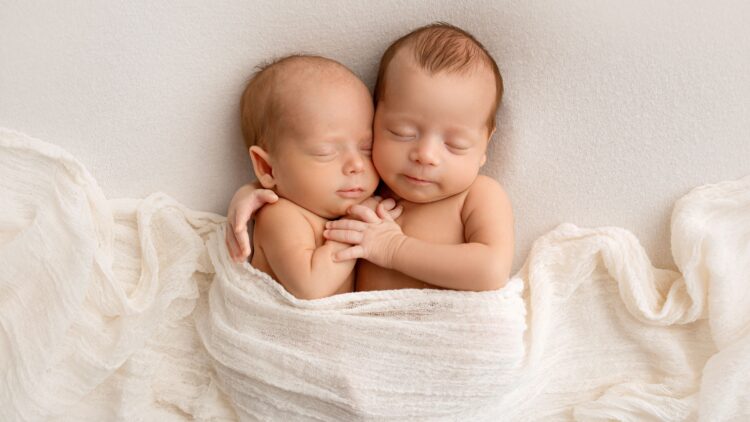 Shutterstock | 294397713