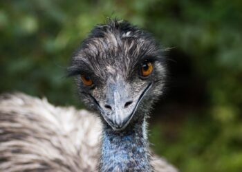 Shutterstock | 313291994
