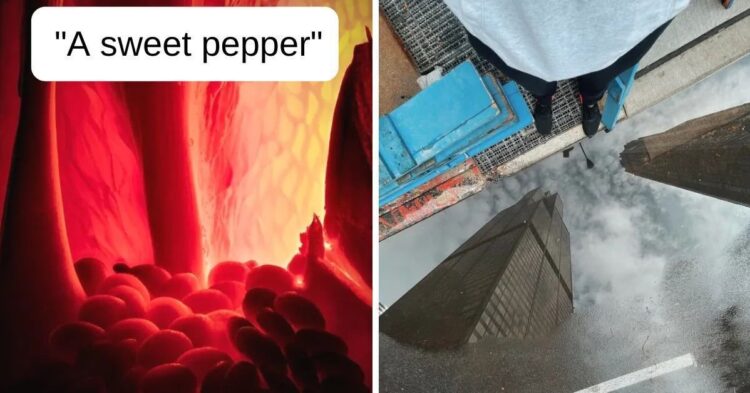 Reddit