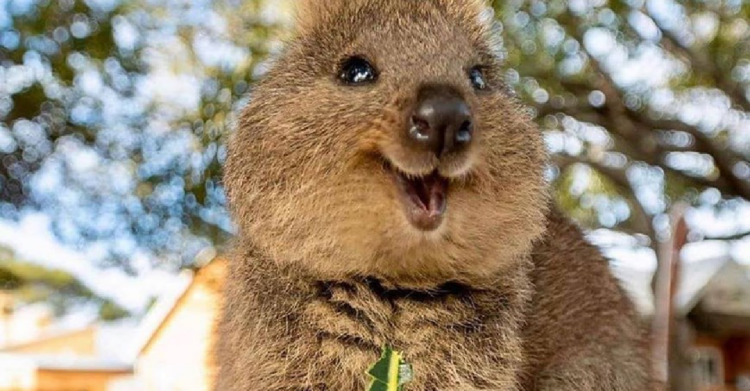Facebook | Zone Wild And Nature