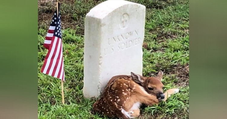 Facebook | Andersonville National Historic Site