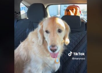 TikTok | @maryrocc
