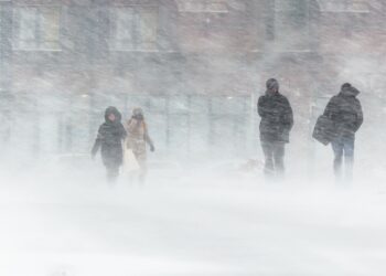 Shutterstock | 195737492