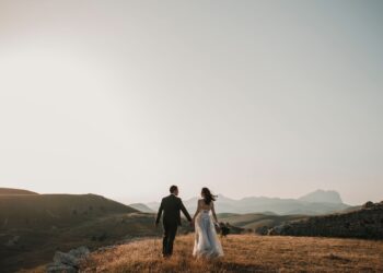Unsplash | Foto Pettine