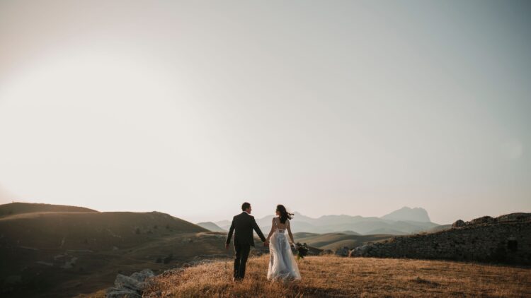 Unsplash | Foto Pettine