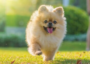 Shutterstock | 171562962