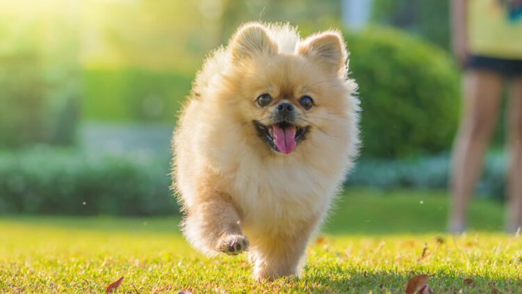 Shutterstock | 171562962