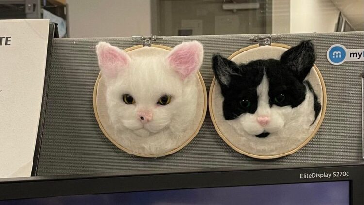 reddit | Sensual_Pudding